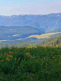 🌲 White River National Forest – Colorado’s Outdoor Wonderland