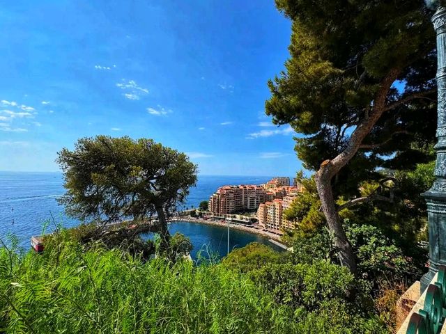 🏰 Prince’s Palace of Monaco – Royal Heritage on the Mediterranean 🏰 Prince’s Palace of Monaco – Royal Heritage on the Mediterranean