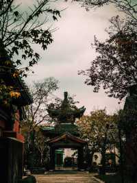 廣富林文化遺址🇨🇳