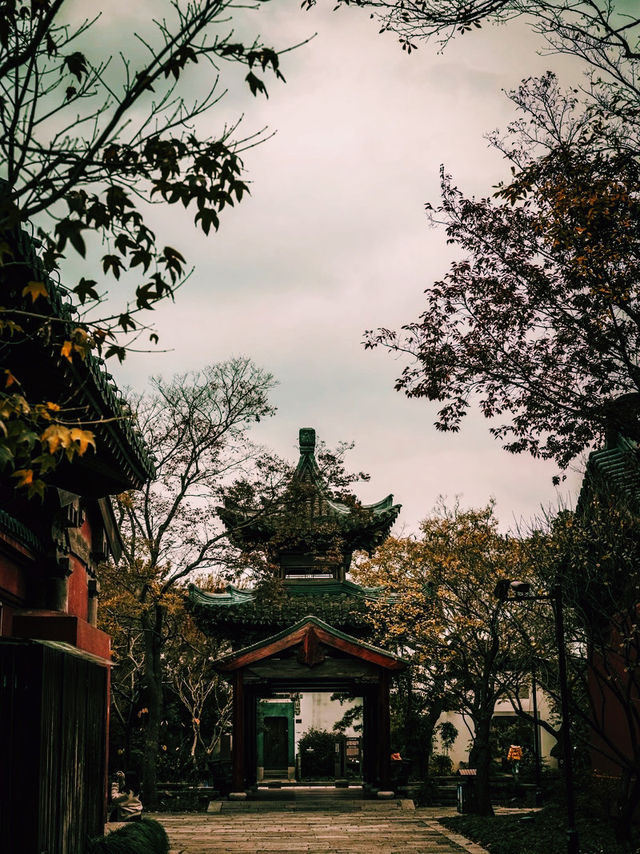 廣富林文化遺址🇨🇳