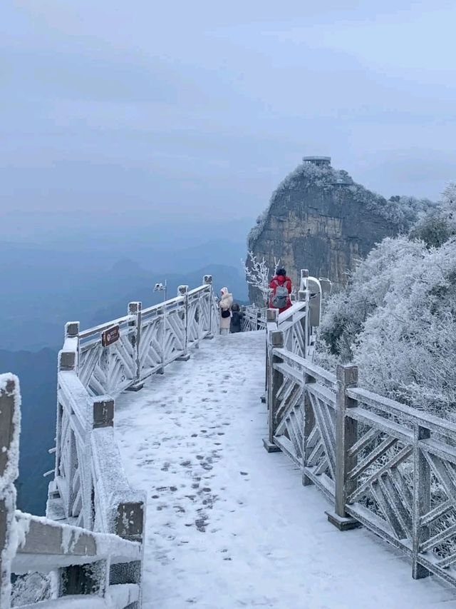 Winter Skiing