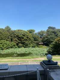 【東京都上野🇯🇵東京国立博物館　庭園】歴史に触れながらのんびり散歩☺️