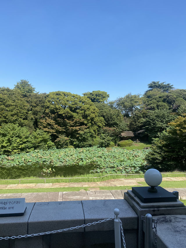 【東京都上野🇯🇵東京国立博物館　庭園】歴史に触れながらのんびり散歩☺️