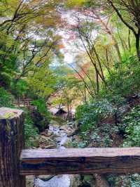【錦秋の滝】愛媛・白滝公園