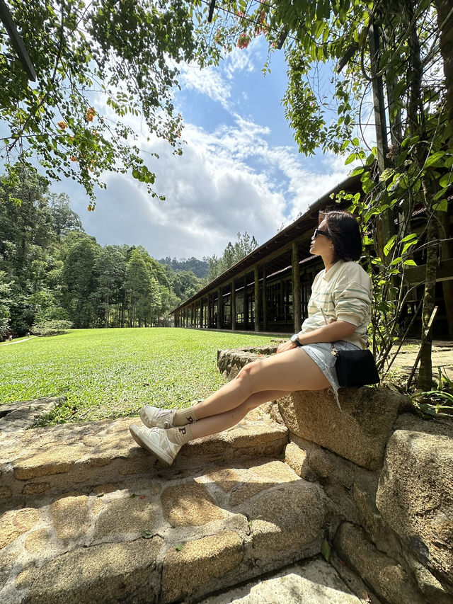 Forest Food Escape✨1 hr drive from the City