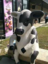 親子同遊的雲林療癒景點🐄#【千巧谷牛樂園牧場】-雲林縣崙背鄉