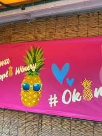 【沖縄•名護】大人も子供も楽しめる名護パイナップルパーク🌴🍍
