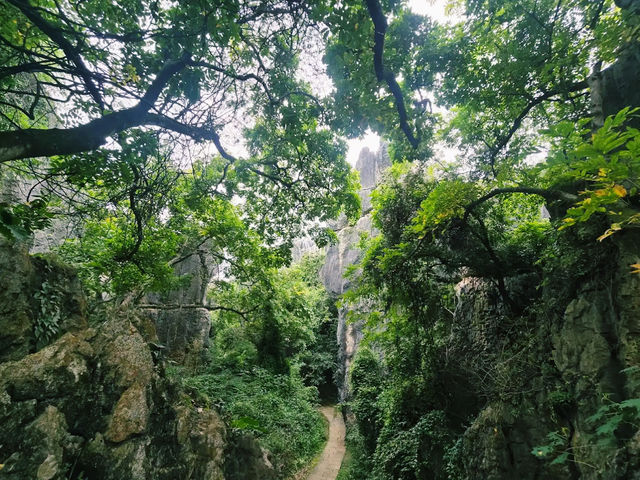 Nature's Artistry at Stone Forest Bishuyuan Nature's Artistry at Stone Forest Bishuyuan