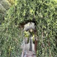 Jardín Botánico Histórico La Concepción