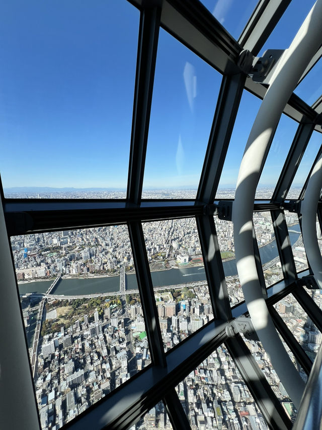 Tokyo Skyline Magic🍦  