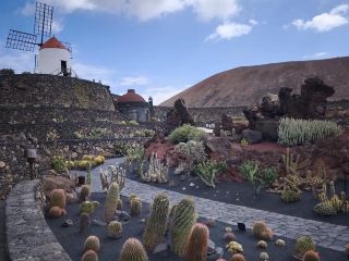 สวนกระบองเพชร