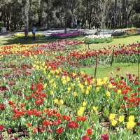 Araluen Botanic Park