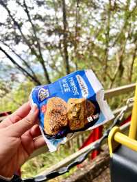 Hop On for Nostalgia: Bong Bong Train Ride in Taipingshan 🚂🌲