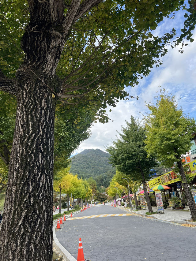 용문사 가는길 풍경이 아름답군요🖼️