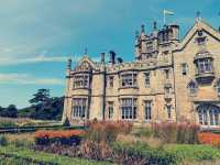 Solo Sanctuary: Finding Peace & Dragons at Margam Park