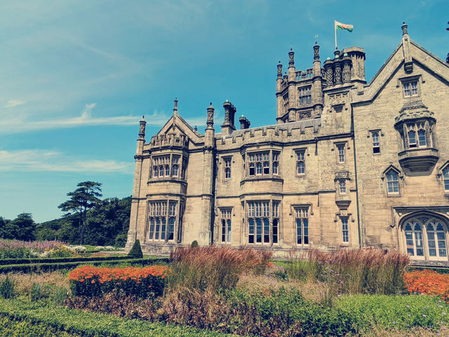 Solo Sanctuary: Finding Peace & Dragons at Margam Park