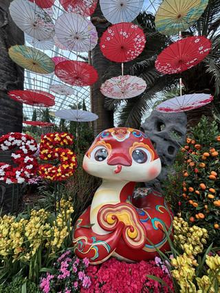 Singapore’s Magical Gardens by the Bay: Flower Frenzy & Photo Goals 🌸✨