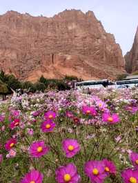 Mysterious Grand Canyon of the Tianshan Mountains: A Scarlet Wonder