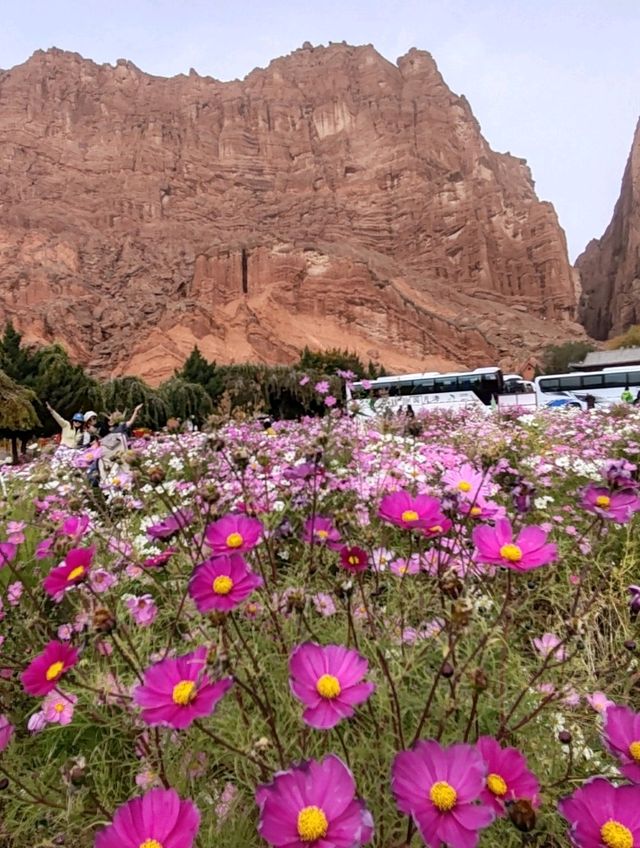 Mysterious Grand Canyon of the Tianshan Mountains: A Scarlet Wonder