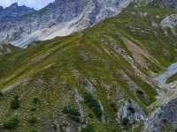 🏔️ Swiss National Park – Switzerland’s Untamed Alpine Wonder