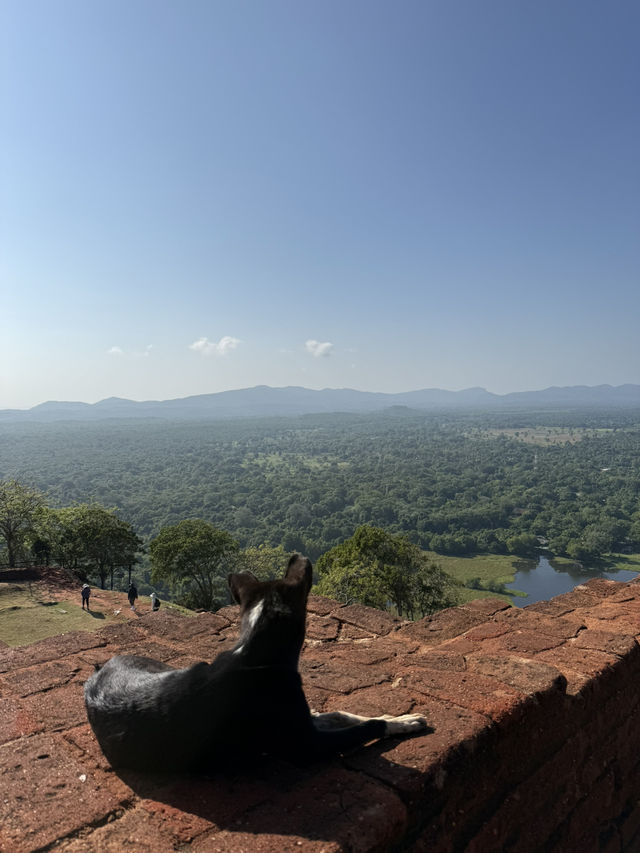 Sigiriya Lion Rock Fortress