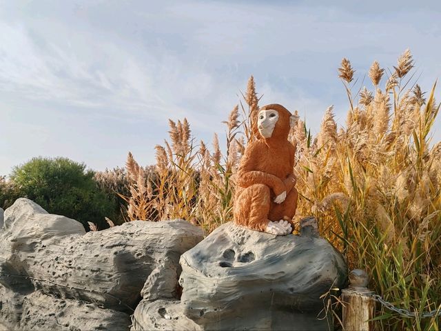 A Hidden Waterside Haven Amid Golden Reeds A Hidden Waterside Haven Amid Golden Reeds