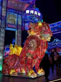 Lantern Magic Zigong✨