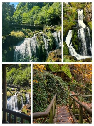 #europeonbudget
🌲🏞️ Black Forest (Schwarzwald) – Germany’s Enchanted Wilderness! 🇩🇪✨

Step into the magical Black Forest, a region of dense pine woods, fairy-tale villages, and sparkling lakes that feels straight out of a storybook 🌲🏡💫. Located in southwestern Germany, this natural wonder is perfect for hiking, cycling, and peaceful getaways surrounded by breathtaking scenery 🌿🚶♀️.

Explore charming towns like Triberg, famous for its cuckoo clocks and waterfalls, or relax by the serene Lake Titisee 🕰️💧. Don’t miss the panoramic drive along the Schwarzwaldhochstrasse (Black Forest High Road) — one of Germany’s most scenic routes 🚗🌄.

Indulge in the region’s iconic Black Forest cake (Schwarzwälder Kirschtorte) 🍒🍰 and rejuvenate in Baden-Baden’s thermal spas for the ultimate relaxation 💦✨.

💡 Tip: Visit in autumn for golden forest hues or in winter when the landscape transforms into a snowy wonderland ❄️🌲.

#BlackForestGermany #Schwarzwald #TravelGermany #NatureEscape #FairyTaleLand #LakeTitisee #TribergFalls #CuckooClocks #EuropeTravel