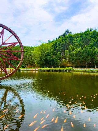 イポーの自然の癒し