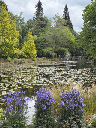 Let's visit Queenstown Gardens!