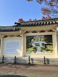 경주 은행나무 포토존 유적지