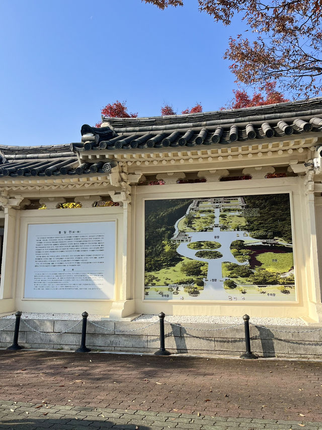 경주 은행나무 포토존 유적지 경주 은행나무 포토존 유적지