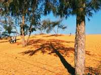 越南🇻🇳紅沙丘