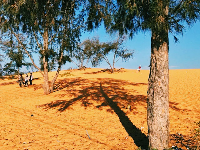 越南🇻🇳紅沙丘 越南🇻🇳紅沙丘