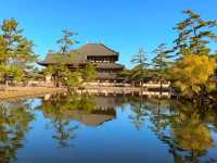 奈良東大寺秋日紅葉美景🍁