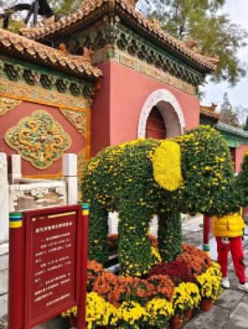 Autumn's Masterpiece in an Emperor's Garden