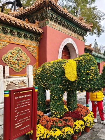 Autumn's Masterpiece in an Emperor's Garden