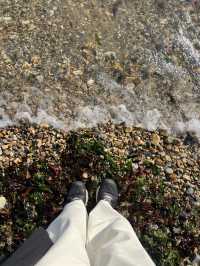 🇨🇳 여유롭게 산책하기 좋은 대련의 해양공원 흑석초 공원