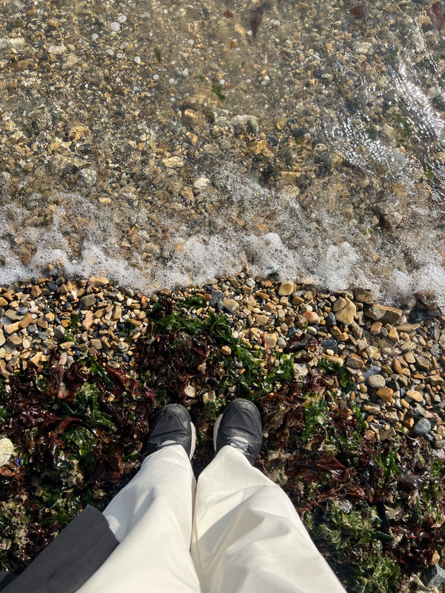 🇨🇳 여유롭게 산책하기 좋은 대련의 해양공원 흑석초 공원