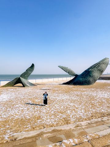 中国・煙台の金砂灘にある「孤独なクジラ」 | Trip.com 煙台