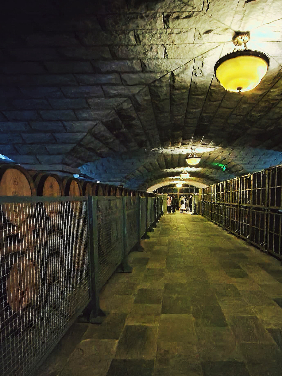 Yantai Wine Escape🍷  