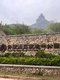 🌲 Yunmeng Mountain Royal Forest Park | A Breath of Nature