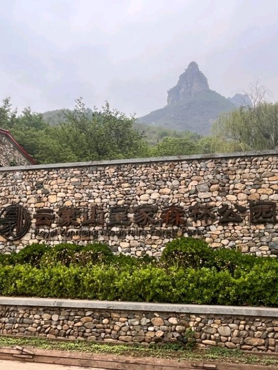 🌲 Yunmeng Mountain Royal Forest Park | A Breath of Nature