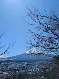 Hidden Mt. Fuji Views: Skip the Crowds for Epic Photo Spots 📸⛰️