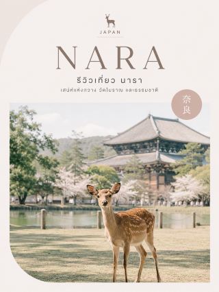 🇯🇵 Travel Review: Nara, the City of Tame Deer, Ancient Temples, and Serene Nature 🦌🍁

If you're looking for a city brimming with the charm of traditional Japan, Nara is a must-visit. Japan's first capital, it's filled with ancient temples, World Heritage sites, and thousands of deer roaming freely in its parks. It's the perfect city for a relaxing trip and easily accessible as a one-day trip from Osaka or Kyoto.

⸻

📍5 Must-See Places

1. Nara Park

A famous park with over 1,000 deer. You can buy "deer crackers" to feed them; many deer will bow before accepting the food, a unique characteristic that tourists appreciate.

2. Todai-ji Temple

Todai-ji Temple, one of the most important temples in Japan, houses a large bronze Daibutsu (Great Buddha) and is a UNESCO World Heritage site.

3. Kasuga Taisha Shrine

Kasuga Taisha Shrine, with thousands of stone and bronze lanterns, is surrounded by an ancient forest. The atmosphere is peaceful and sacred.

4. Isuien Garden

A beautifully designed traditional Japanese garden with ponds, pavilions, and a backdrop of Todaiji Temple, perfect for nature lovers.

5. Naramachi

An old town area filled with traditional wooden houses, cafes, confectionery shops, and handicraft shops. Enjoy a leisurely stroll all day long.

⸻

🍜 Must-try foods:

🍣 Kakinoha Sushi

🍡 Dango

🍵 Nara Matcha

🍜 Ramen

🍧 Kakigori (Japanese shaved ice)

🍘 Local Senbei (rice crackers)

⸻

🎁 Popular souvenirs:

🦌 Deer cookies and figurines

🍵 Nara green tea

🎐 Amulets from Kasuga Shrine

🍪 Traditional Japanese sweets

🎎 Local handicrafts

⸻

🚆 How to get there:

· From Osaka: Approximately 40-50 minutes by Kintetsu or JR train.
· From Kyoto: Approximately 45 minutes.
· Almost all places in the city are within walking distance.
· If you want to visit multiple cities in the Kansai region, a JR Kansai Pass is recommended.

⸻

💰 Estimated budget (Excluding airfare)

🏨 Accommodation: 1,800–5,000 THB/night

🍜 Food: 250–1,000 THB/meal

🚆 Transportation: 200–600 THB/day

🎟️ Entrance Fees: 200–800 THB

⸻

🌸 Best Time to Visit?

🌸 March–April: Cherry blossoms in bloom throughout the parks.

🌿 May: Cool and pleasant weather, less crowded.

🍁 October–November: Beautiful autumn foliage throughout the city.

❄️ December–February: Cool weather, comfortable for sightseeing, less crowded.

⸻

💡 Nara Travel Tips

✅ Buy senbei crackers for the deer from authorized vendors and feed them respectfully.

✅ Be careful with maps, tickets, or plastic bags as deer may chew on them.

✅ Start your tour in the morning for a peaceful atmosphere and beautiful photos.

✅ Wear comfortable walking shoes. Because many points are within walking distance of each other.

⸻

Nara is a city full of tranquility, nature, and history, perfect for those who want to experience Japan in a relaxed atmosphere, get close to adorable deer, visit ancient temples, and stroll through a charming old town. If you have one day in the Kansai region, Nara is one of the cities you absolutely shouldn't miss. 🇯🇵🦌✨

#JapanTravel #Nara #NaraReview #TravelNara