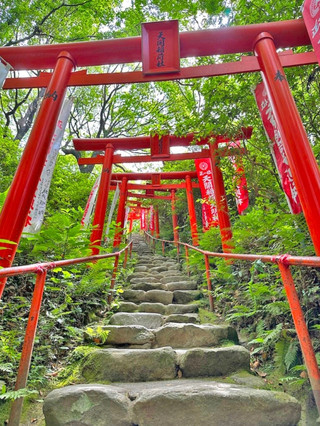 [Fukuoka, Dazaifu] Tenkai Inari Shrine, nestled quietly behind Dazaifu Tenmangu Shrine ✨