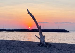 เพิ่งไปเที่ยวเมืองแก๊ป (Kep) และข้ามฝั่งไปที่เกาะกระต่าย (Koh Tonsay) มา บอกเลยว่าเป็นสวรรค์ริมชายฝั่งกัมพูชาที่ชิลสุดๆ น้ำใส บรรยากาศเป็นกันเอง และพระอาทิตย์ตกดินสวยมาก 🌴⛱️