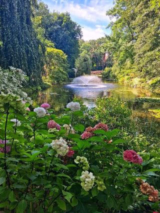 Wrocław in Two Moods 🇵🇱 | From Botanical Calm to Cultural Beauty