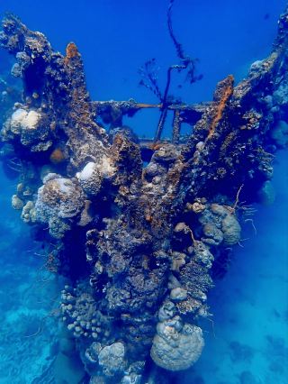 🇵🇭 Diving into History: Exploring Shipwrecks in Palawan