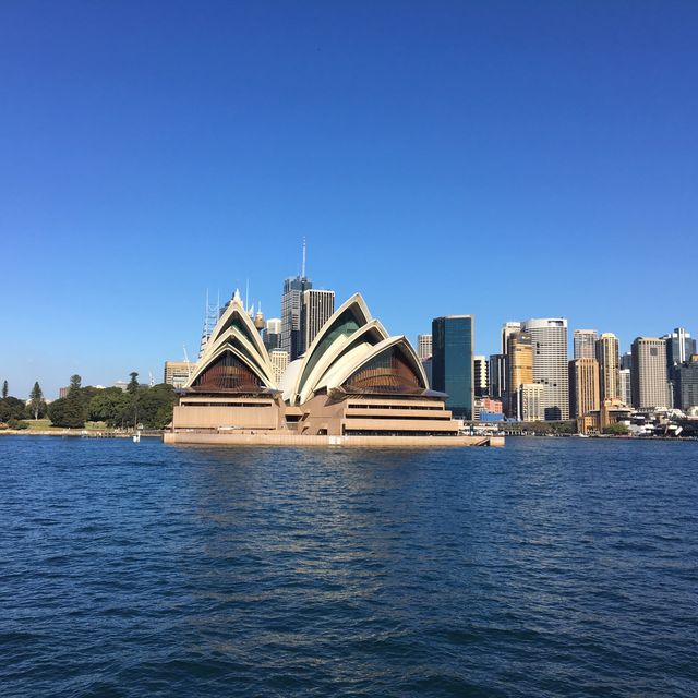 在渡輪上欣賞悉尼歌劇院的美景
